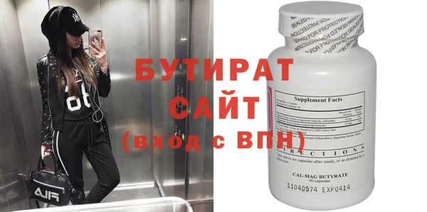 индика Няндома