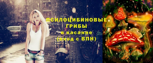 крисы Тотьма
