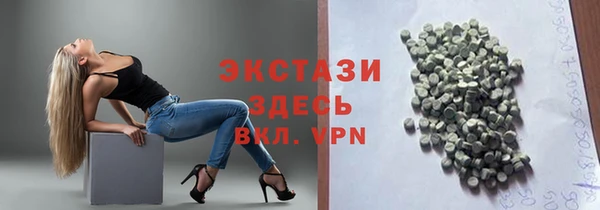 индика Няндома