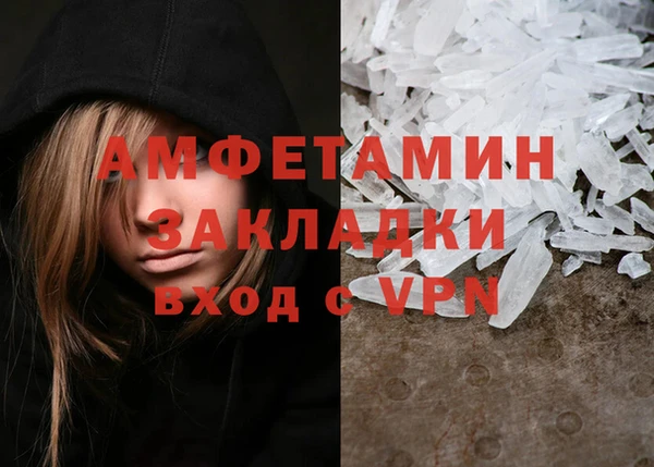 индика Няндома