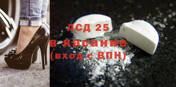 индика Няндома