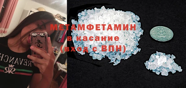 индика Няндома