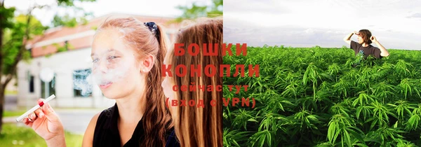 индика Няндома
