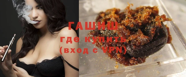 индика Няндома